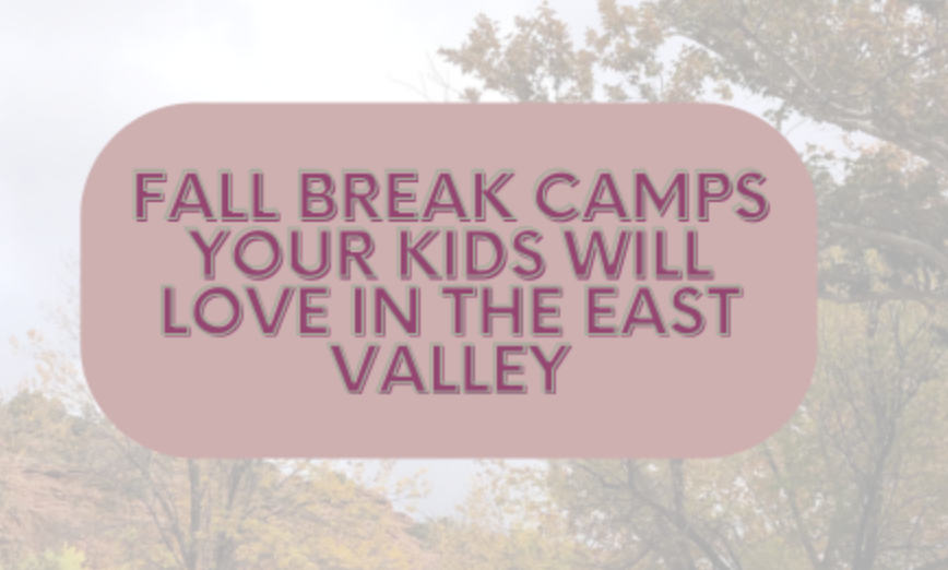 Fall Break Camps Your Kids will LOVE!